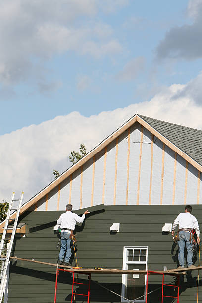 Best Brick Veneer Siding  in Bear Creek, FL