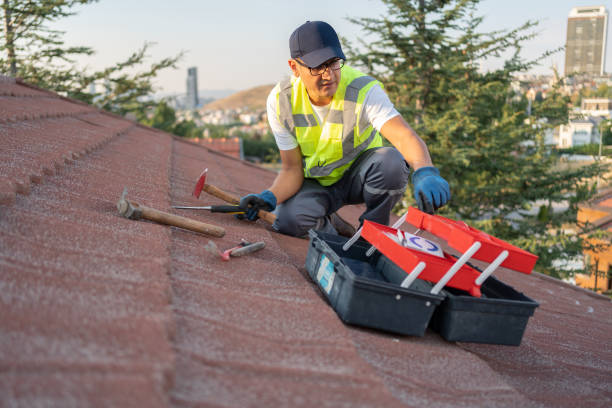 Best Historical Building Siding Restoration  in Bear Creek, FL